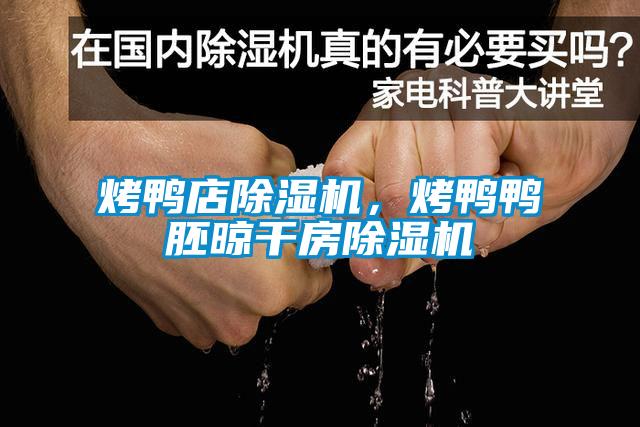 烤鴨店除濕機<div   id=