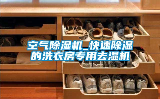 空氣除濕機(jī)_快速除濕的洗衣房專(zhuān)用去濕機(jī)