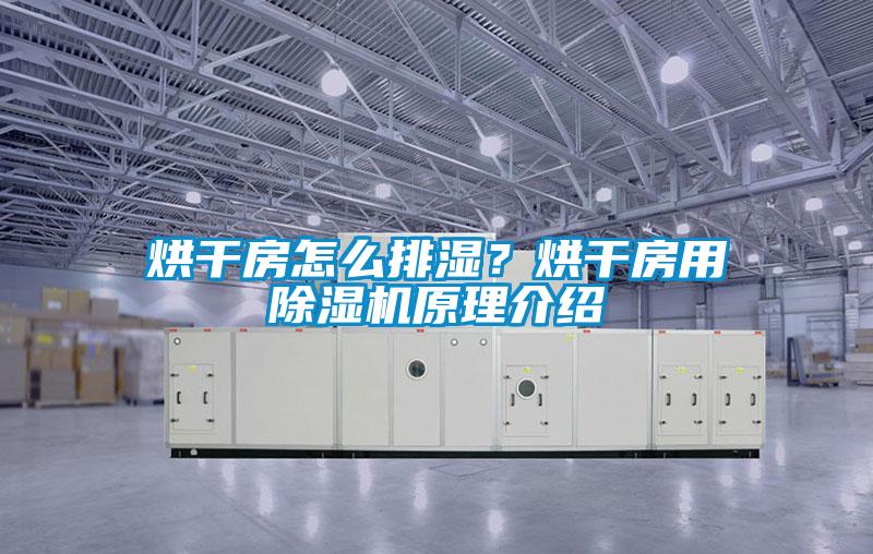 烘干房怎么排濕<div   id=