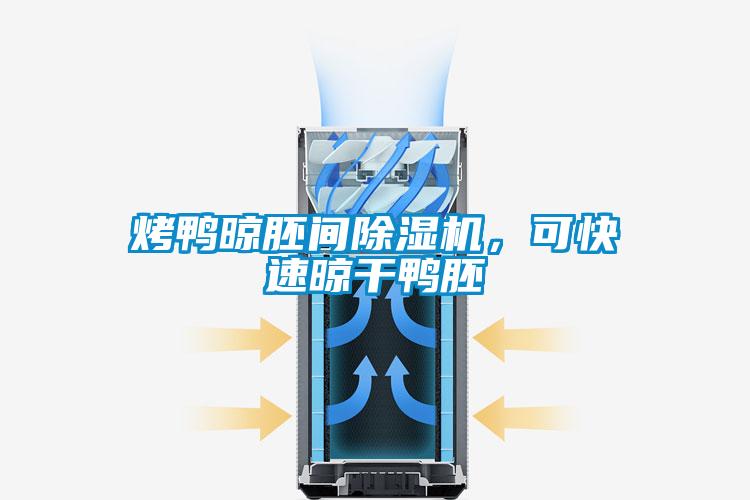 烤鴨晾胚間除濕機<div   id=