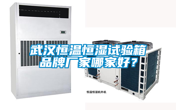 武漢恒溫恒濕試驗(yàn)箱品牌廠家哪家好<div   id=