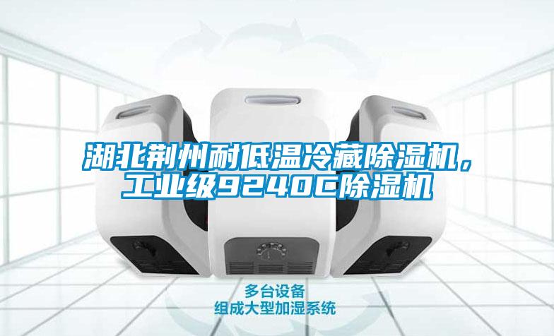 湖北荊州耐低溫冷藏除濕機(jī)<div   id=
