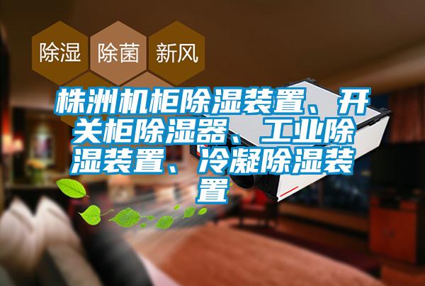 株洲機柜除濕裝置、開關(guān)柜除濕器<div   id=