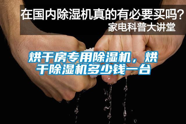 烘干房專用除濕機<div   id=