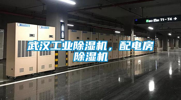 武漢工業(yè)除濕機(jī)<div   id=