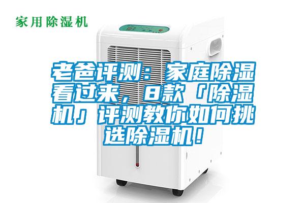 老爸評(píng)測：家庭除濕看過來<div   id=