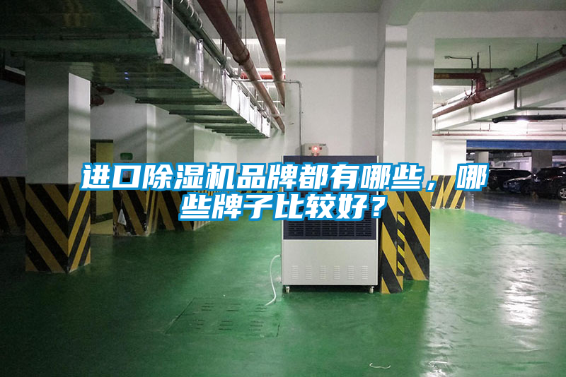 進(jìn)口除濕機(jī)品牌都有哪些<div   id=