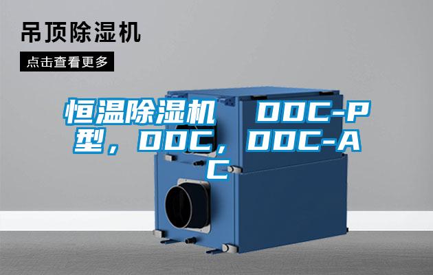 恒溫除濕機  DDC-P型<div   id=