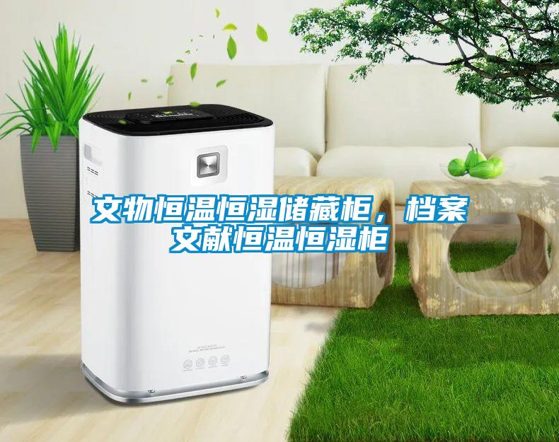 文物恒溫恒濕儲藏柜，檔案文獻(xiàn)恒溫恒濕柜