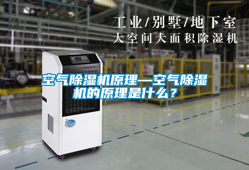 空氣除濕機(jī)原理—空氣除濕機(jī)的原理是什么<div   id=