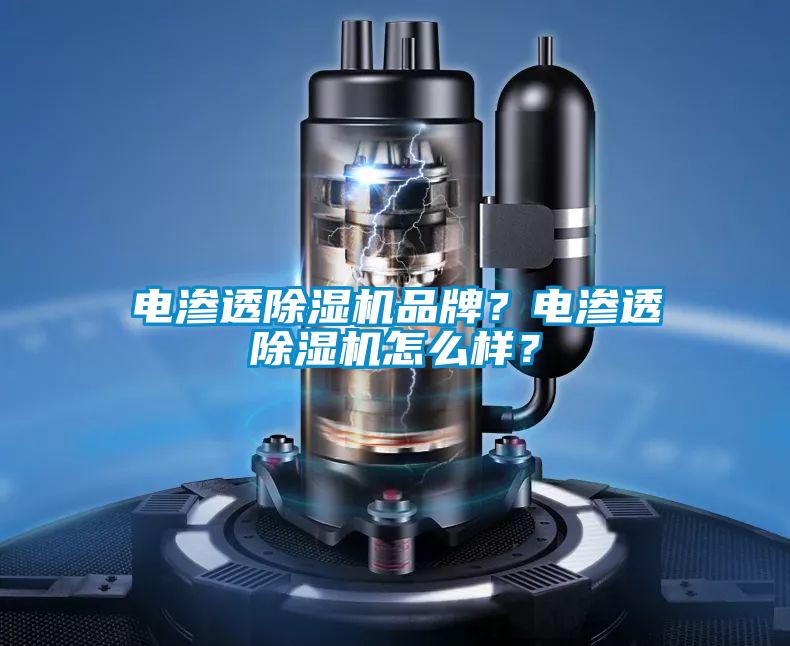 電滲透除濕機(jī)品牌？電滲透除濕機(jī)怎么樣<div   id=