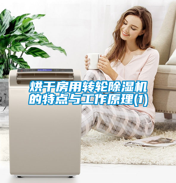 烘干房用轉(zhuǎn)輪除濕機(jī)的特點與工作原理(1)