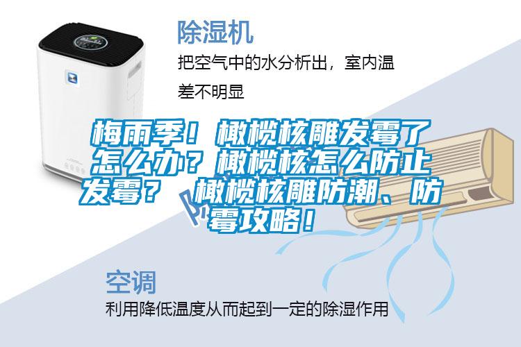 梅雨季！橄欖核雕發(fā)霉了怎么辦<div   id=