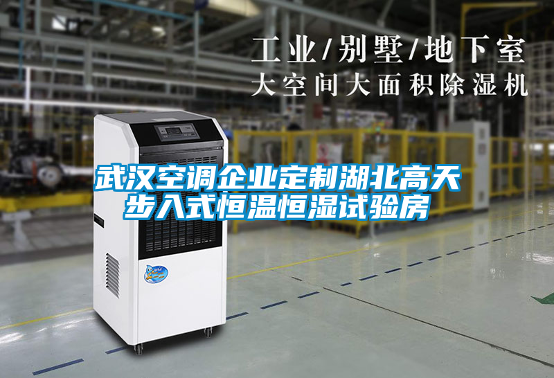 武漢空調(diào)企業(yè)定制湖北高天步入式恒溫恒濕試驗房