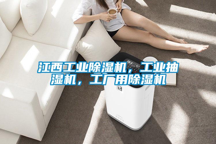 江西工業(yè)除濕機<div   id=