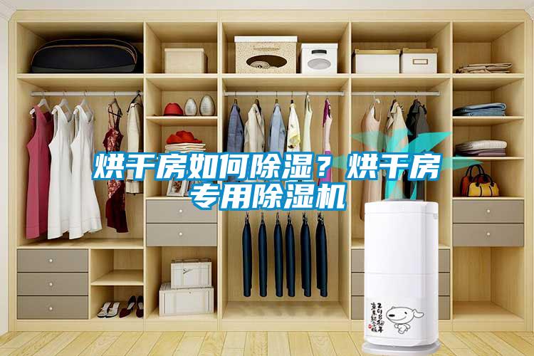 烘干房如何除濕<div   id=