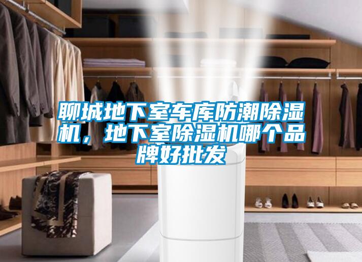 聊城地下室車庫防潮除濕機(jī)，地下室除濕機(jī)哪個品牌好批發(fā)
