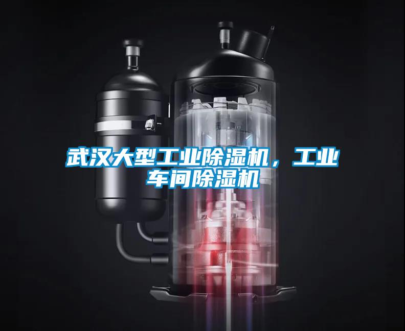 武漢大型工業(yè)除濕機<div   id=