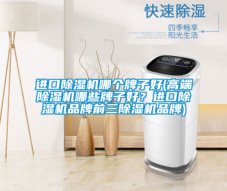 進(jìn)口除濕機(jī)哪個牌子好(高端除濕機(jī)哪些牌子好？進(jìn)口除濕機(jī)品牌前三除濕機(jī)品牌)