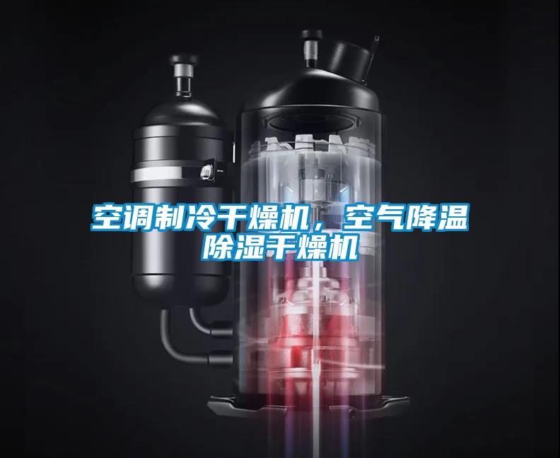 空調(diào)制冷干燥機(jī)<div   id=