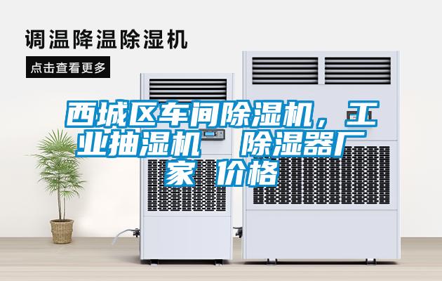 西城區(qū)車(chē)間除濕機(jī)<div   id=