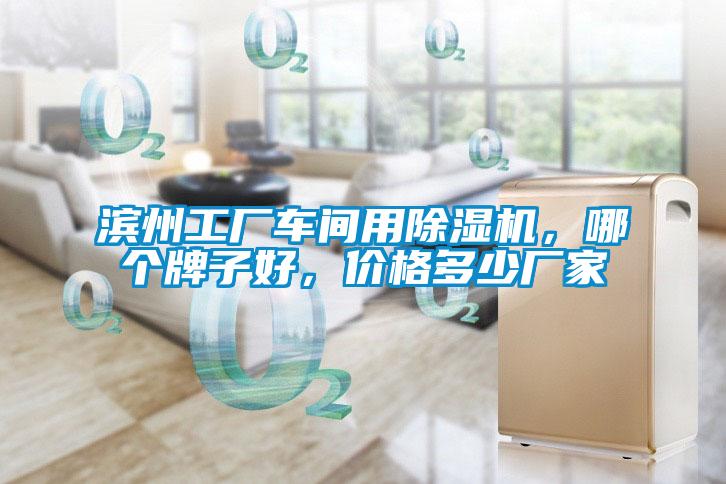 濱州工廠車間用除濕機(jī)<div   id=