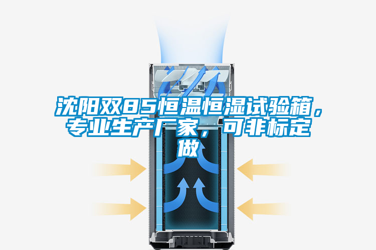 沈陽雙85恒溫恒濕試驗(yàn)箱<div   id=