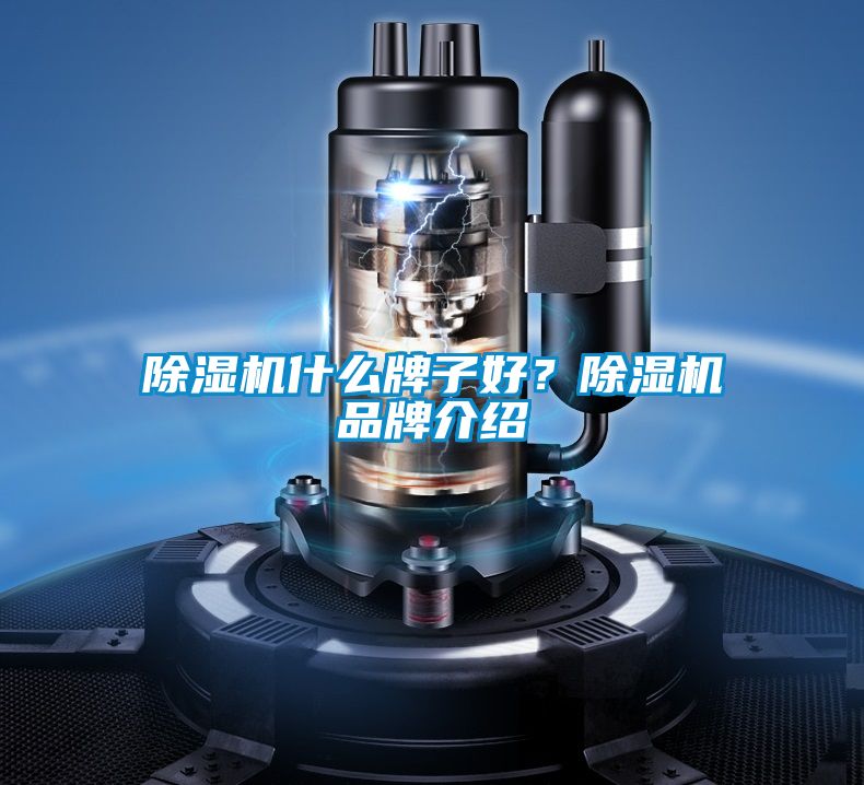 除濕機(jī)什么牌子好<div   id=