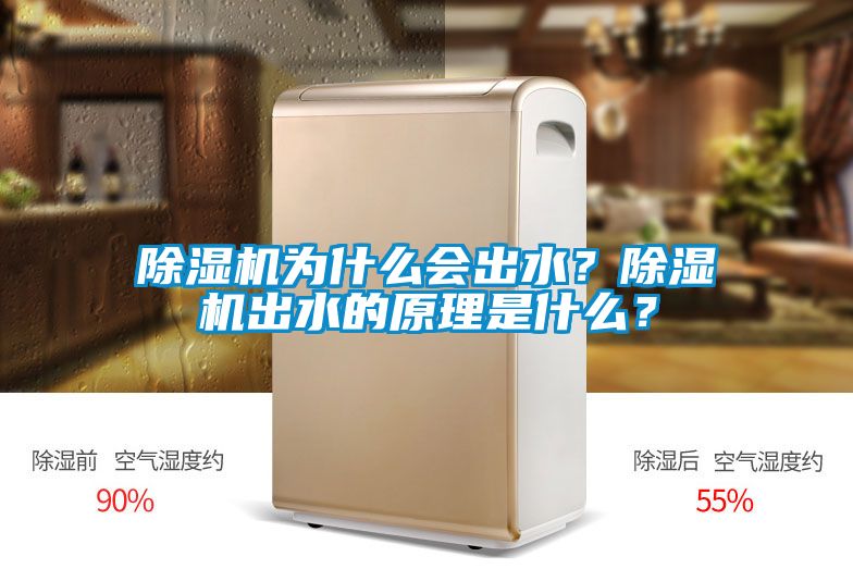 除濕機(jī)為什么會(huì)出水<div   id=