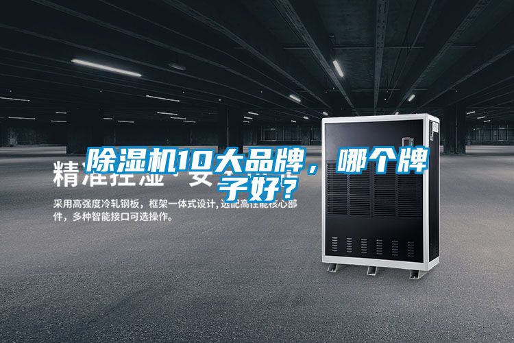 除濕機10大品牌，哪個牌子好<div   id=