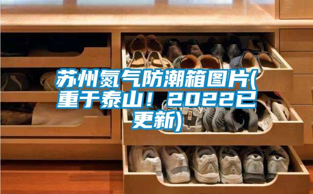 蘇州氮氣防潮箱圖片(重于泰山<div   id=