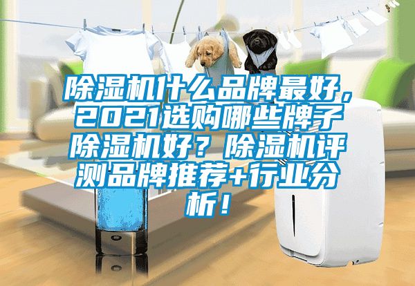 除濕機(jī)什么品牌最好，2021選購(gòu)哪些牌子除濕機(jī)好<div   id=
