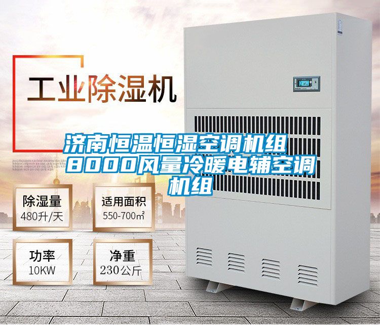 濟(jì)南恒溫恒濕空調(diào)機(jī)組 8000風(fēng)量冷暖電輔空調(diào)機(jī)組