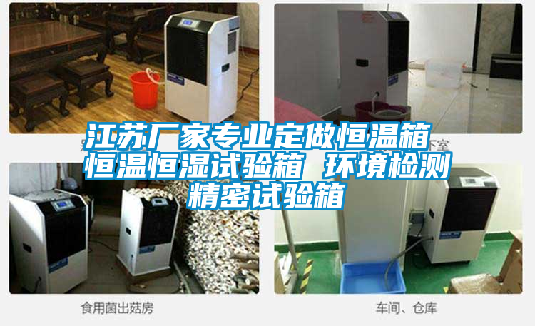 江蘇廠家專業(yè)定做恒溫箱 恒溫恒濕試驗箱 環(huán)境檢測精密試驗箱