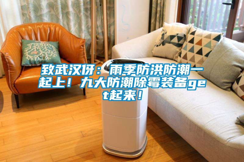 致武漢伢：雨季防洪防潮一起上<div   id=