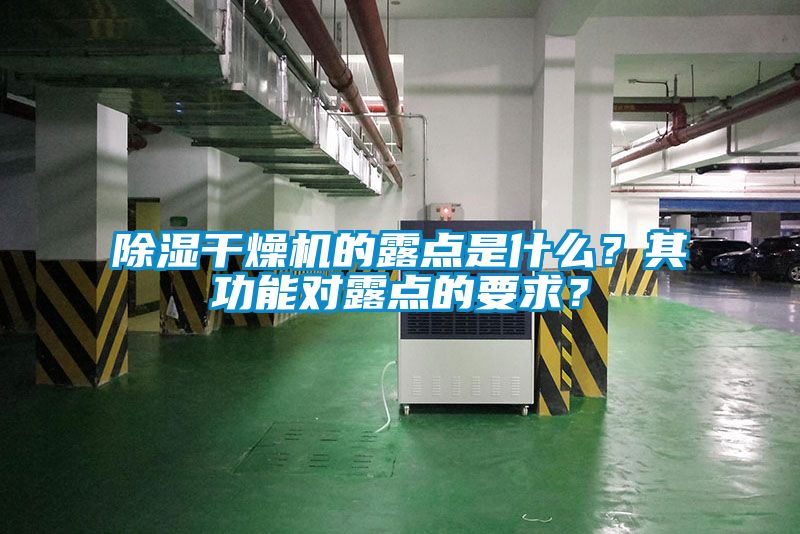 除濕干燥機(jī)的露點(diǎn)是什么？其功能對(duì)露點(diǎn)的要求<div   id=