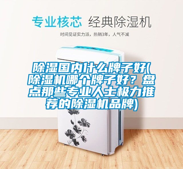 除濕國內(nèi)什么牌子好(除濕機哪個牌子好<div   id=