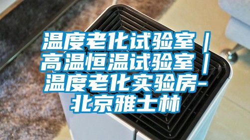 溫度老化試驗(yàn)室|高溫恒溫試驗(yàn)室|溫度老化實(shí)驗(yàn)房-北京雅士林