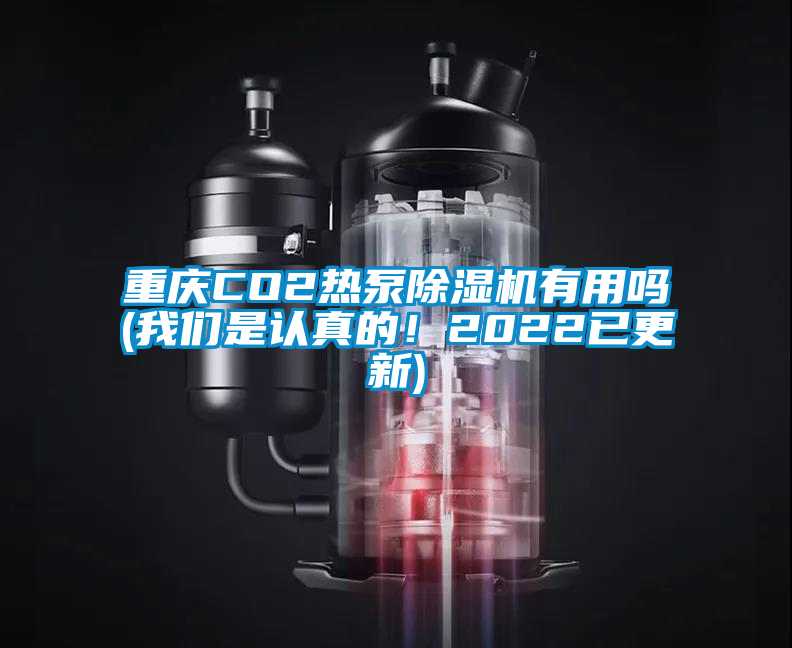 重慶CO2熱泵除濕機有用嗎(我們是認真的<div   id=