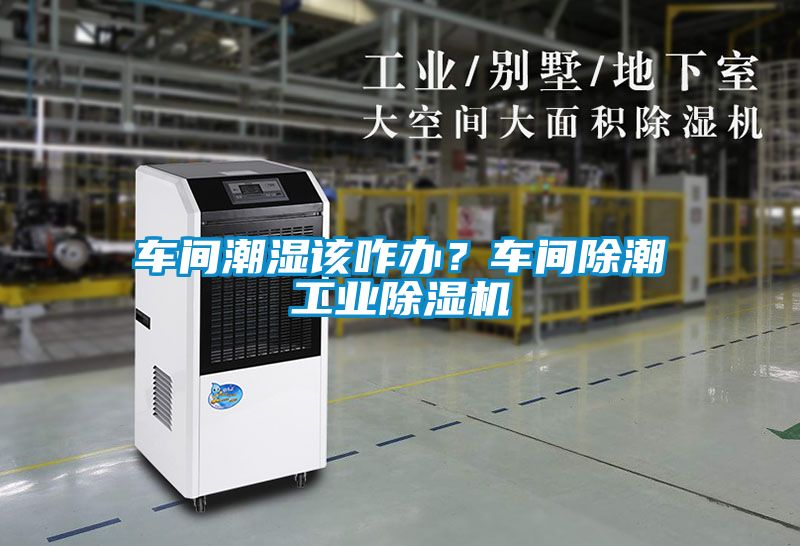 車間潮濕該咋辦<div   id=