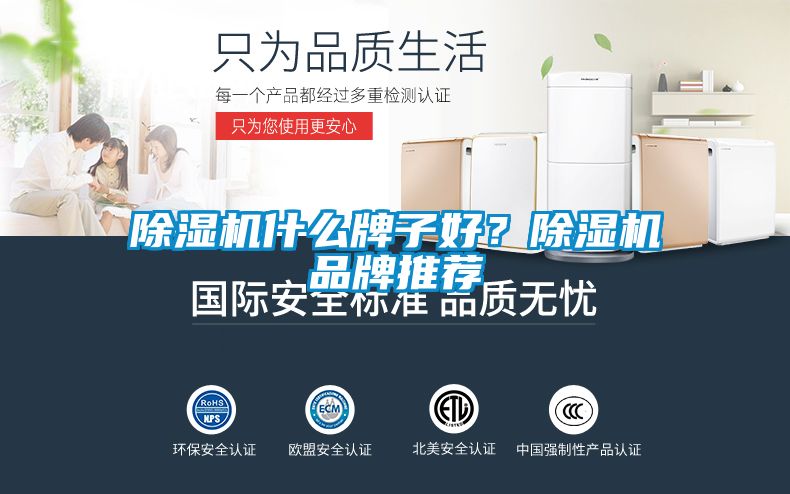 除濕機(jī)什么牌子好<div   id=