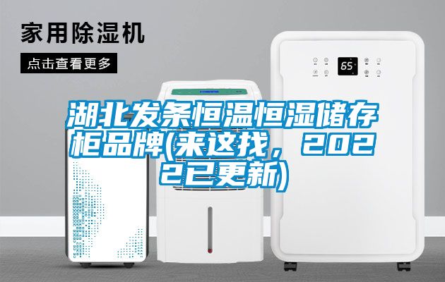 湖北發(fā)條恒溫恒濕儲存柜品牌(來這找<div   id=
