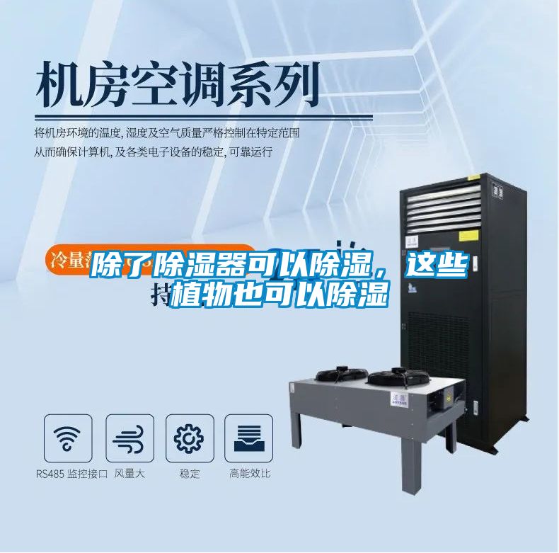 除了除濕器可以除濕<div   id=