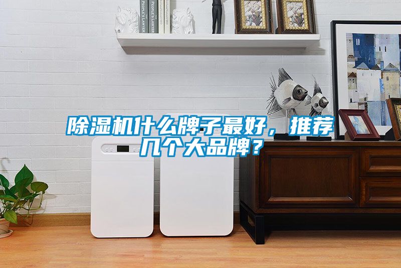 除濕機什么牌子最好<div   id=