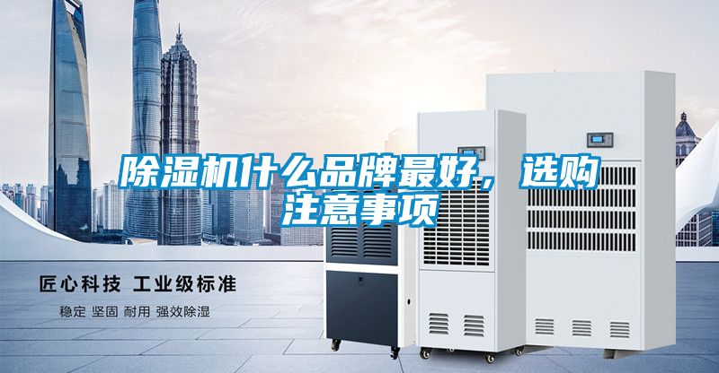 除濕機(jī)什么品牌最好<div   id=