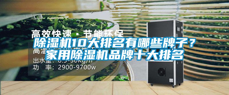 除濕機10大排名有哪些牌子<div   id=