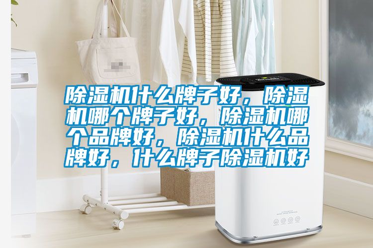 除濕機(jī)什么牌子好<div   id=