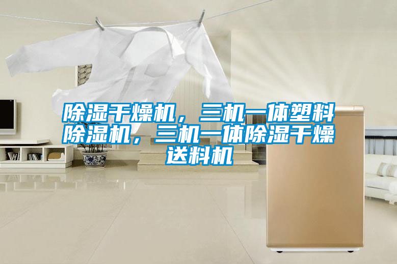除濕干燥機(jī)<div   id=