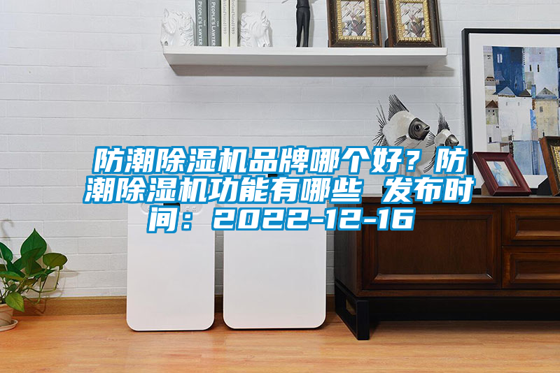 防潮除濕機(jī)品牌哪個(gè)好<div   id=