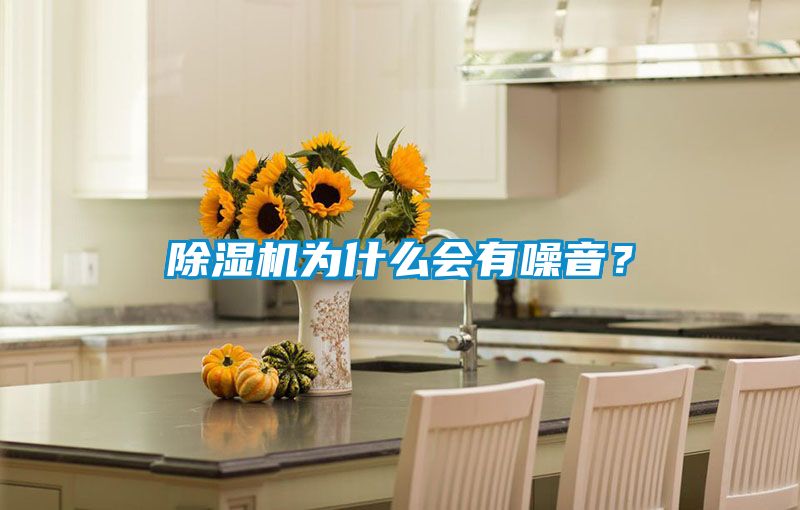 除濕機(jī)為什么會(huì)有噪音<div   id=